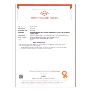 Jetty JT-311 Standart Akülü Tekerlekli Sandalye (YEŞİL) Jetty JT-311 Standart Akülü Tekerlekli Sandalye (YEŞİL)