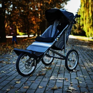 Engelli Çocuk Arabası